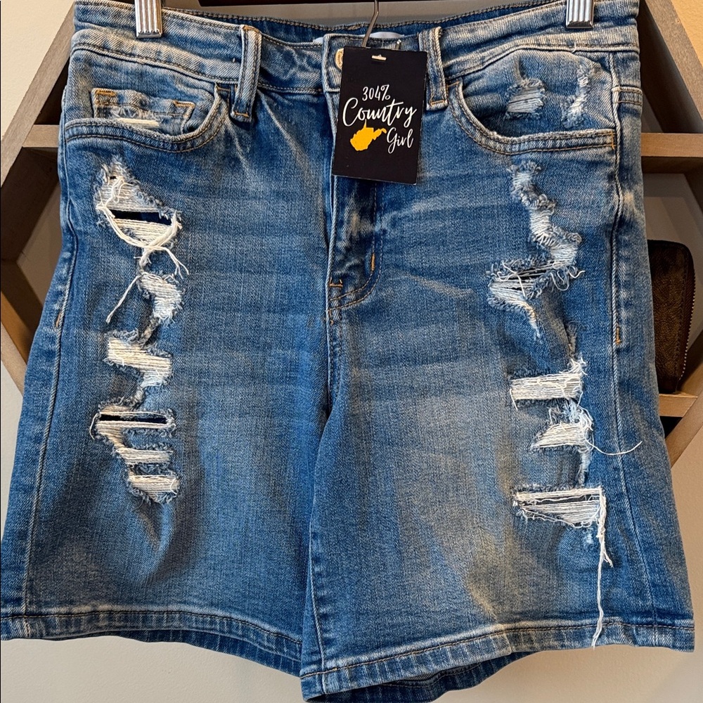 Vervet Distressed Denim Shorts
